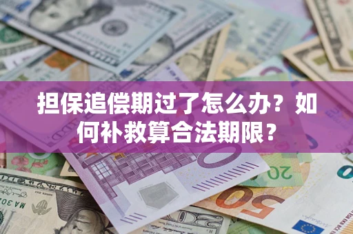 济南担保追偿期过了怎么办？如何补救算合法期限？