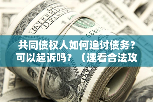 济南共同债权人如何追讨债务？可以起诉吗？（速看合法攻略）