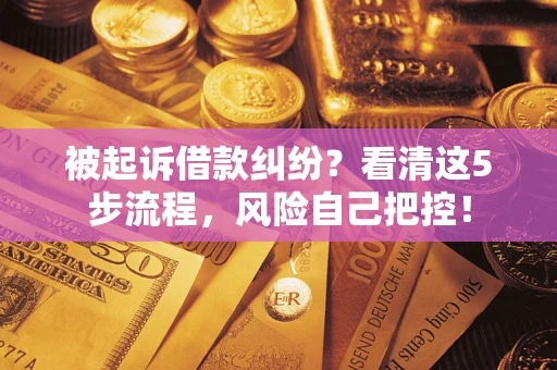 济南被起诉借款纠纷？看清这5步流程，风险自己把控！