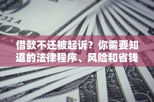 济南借款不还被起诉？你需要知道的法律程序、风险和省钱技巧